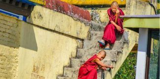 Becas Dalai Lama
