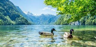 Biodiversidad y población en ciencias ambientales