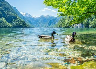 Biodiversidad y población en ciencias ambientales Biodiversidad y población en ciencias ambientales