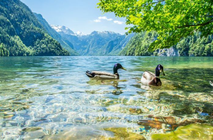 Biodiversidad y población en ciencias ambientales Biodiversidad y población en ciencias ambientales