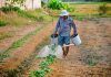 Practicas en Estados Unidos en el ambito agricola