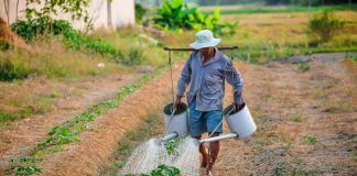 Practicas en Estados Unidos en el ambito agricola