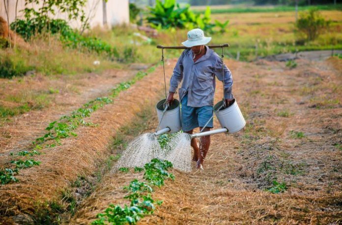 Practicas en Estados Unidos en el ambito agricola