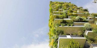 bosques verticales