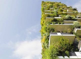 La primera ciudad de bosques verticales: creando el futuro bosques verticales