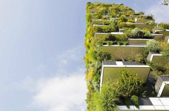 bosques verticales