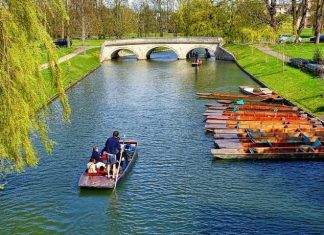 Becas en la Universidad de Cambridge para Administración de Empresas Becas en la Universidad de Cambridge