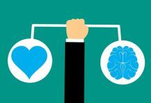 El cerebro y las emociones