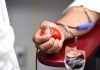 Día Mundial del Donante de Sangre