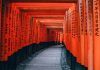 Programa de investigación OIST en Japón