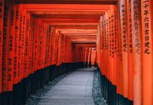 Programa de investigación OIST en Japón