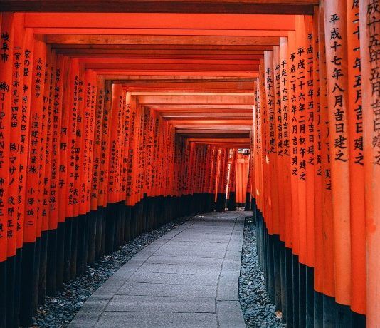 Programa de investigación OIST en Japón